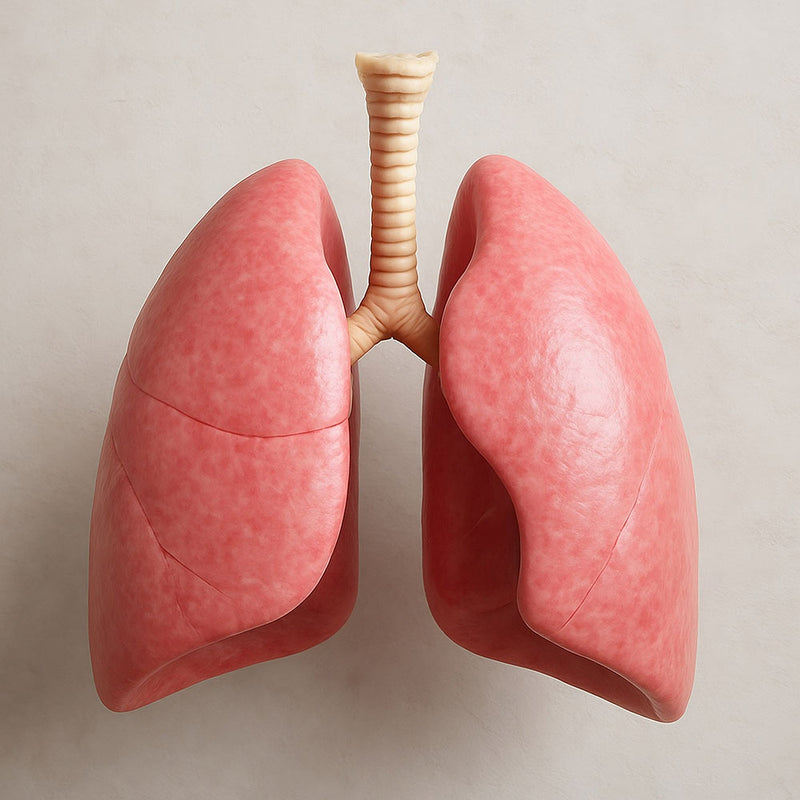 image comparison after