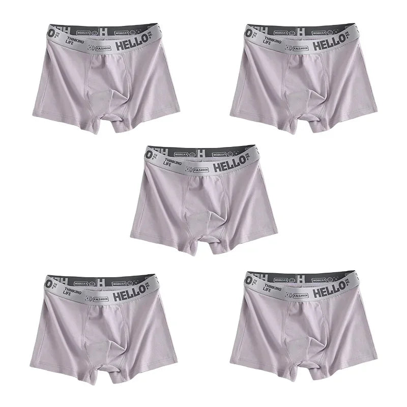 1/3/5pcs Men's Underwear, Breathable Comfy Quick Drying Stretchy Boxer Trunks, Sexy Underpants, Men's Trendy Boxer Panties