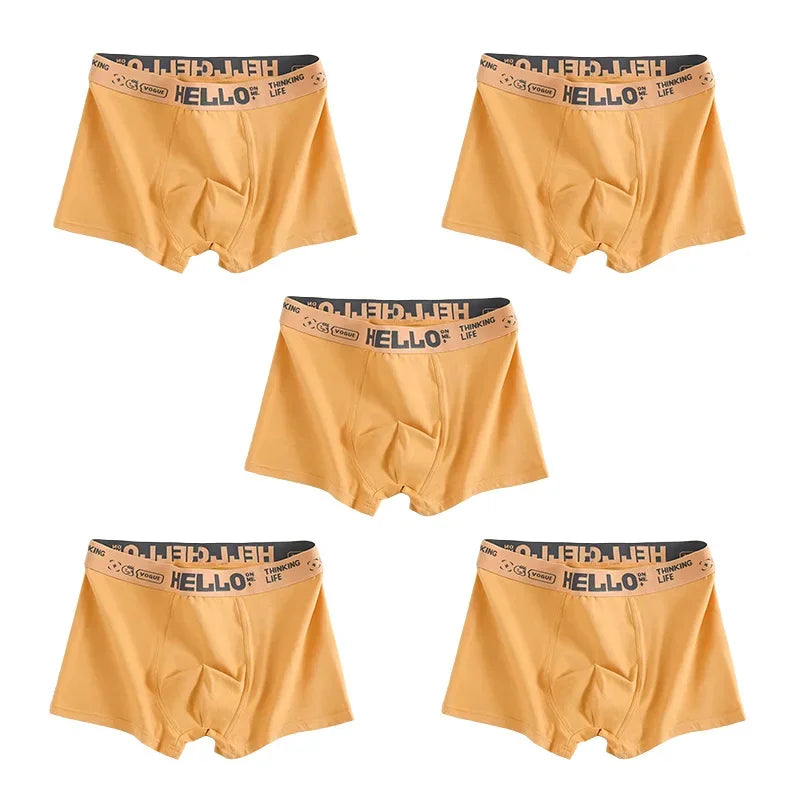 1/3/5pcs Men's Underwear, Breathable Comfy Quick Drying Stretchy Boxer Trunks, Sexy Underpants, Men's Trendy Boxer Panties