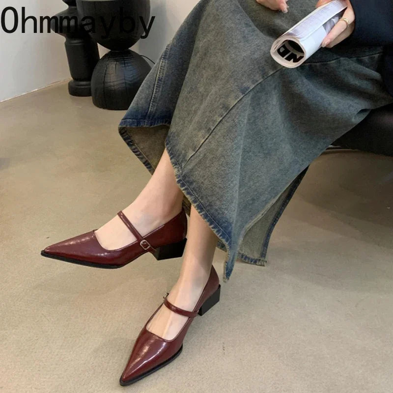 Retro Style Thick Heel Women Mary Jane Shoes Fashion Shallow Pointed Toe Ladies Comfort Office Pumps Footwear