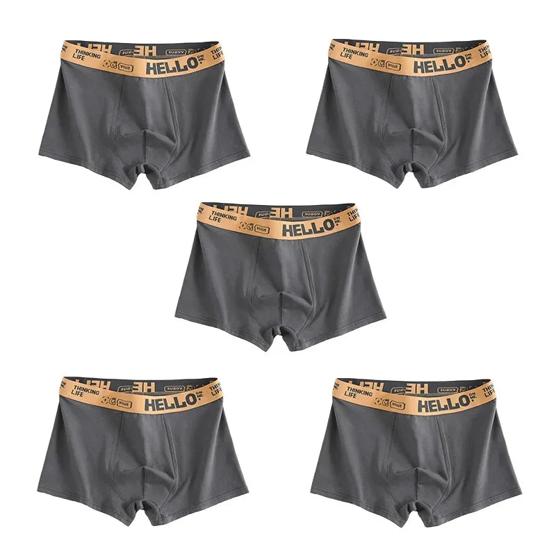 1/3/5pcs Men's Underwear, Breathable Comfy Quick Drying Stretchy Boxer Trunks, Sexy Underpants, Men's Trendy Boxer Panties