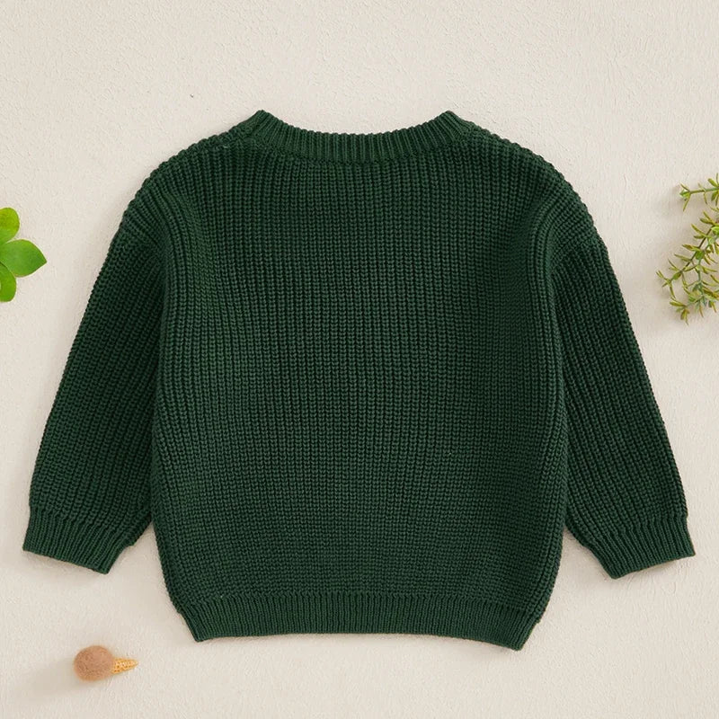 2024-08-02 Lioraitiin 0-3Y Baby Boy Girl Knit Sweater Letter Embroidery Crew Neck Long Sleeve Pullover Tops for Fall Winter