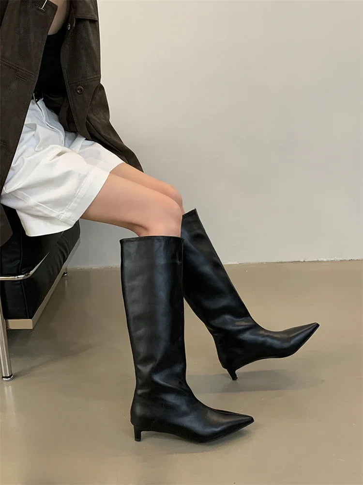 Eilyken Autumn Winter Sexy Women Knee-High Boots Street Style Pointed Toe Thin Low Heels Casual Party Shoes Long Botas Mujer