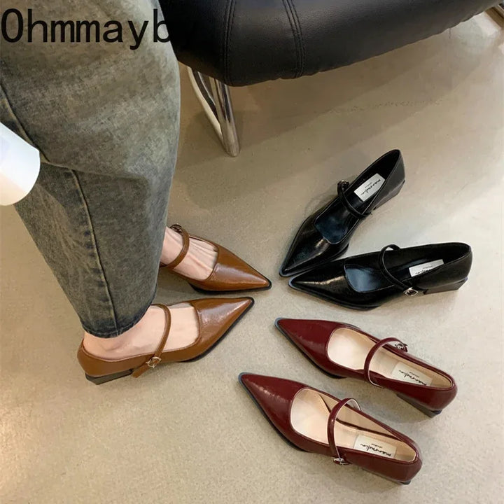 Retro Style Thick Heel Women Mary Jane Shoes Fashion Shallow Pointed Toe Ladies Comfort Office Pumps Footwear